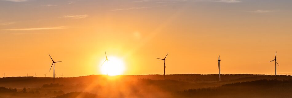 Grøn energi elselskab til din økonomi